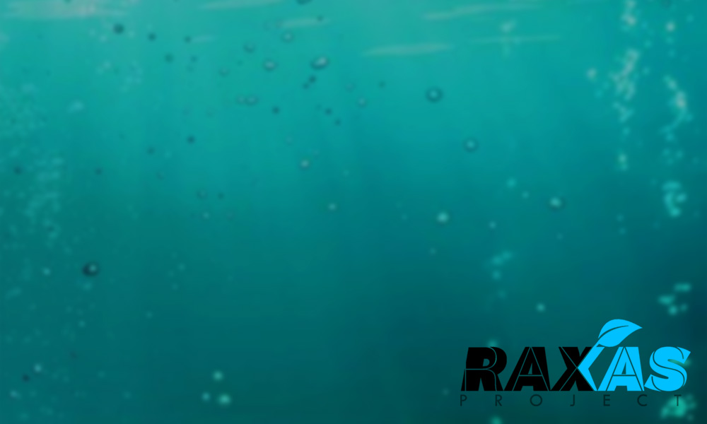 Download our presentation