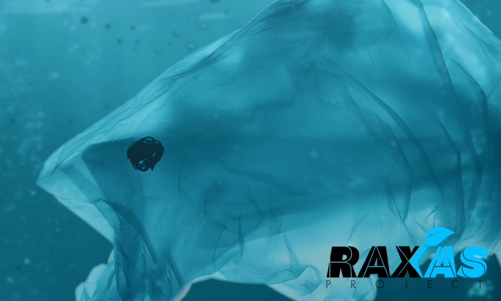 Télécharger notre présentation